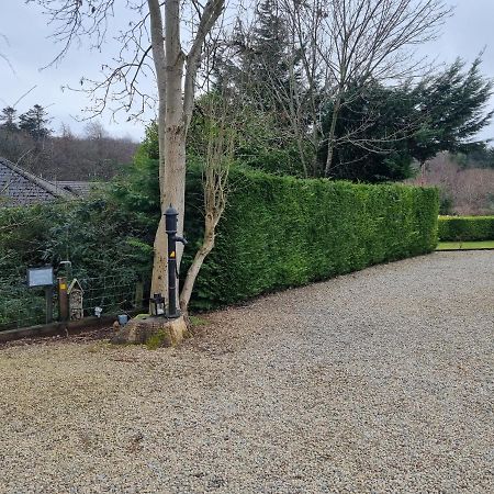 Cracatinni Mews Roundwood Kültér fotó